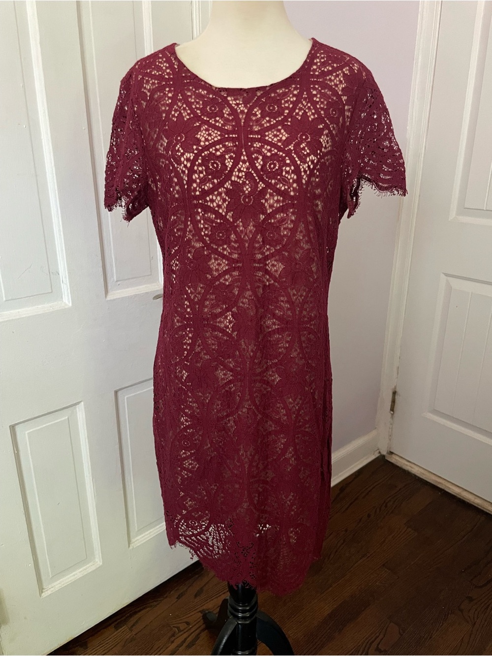 Cynthia Steffe Burgundy Lace Dress – Size 8